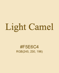 رنگ شتری روشن با چه رنگ هایی ست می شود؟ راهنمای کامل و جامع رنگ شتری روشن